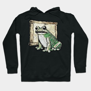 Vintage Frog Hoodie